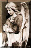 Copy of angel-profile.jpg (54893 bytes)
