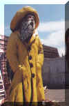 Copy of fisherman yellow-sm.jpg (31190 bytes)