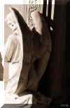 back_of_angel.jpg (28722 bytes)