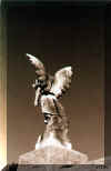 butterfly_wings.jpg (22071 bytes)